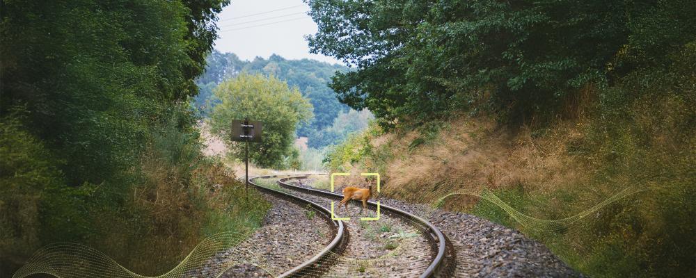Alstom och Flox Intelligence testar AI-teknik som ska upptäcka och skrämma bort djur från järnvägsspår för att minska viltolyckor. Foto: Alstom
