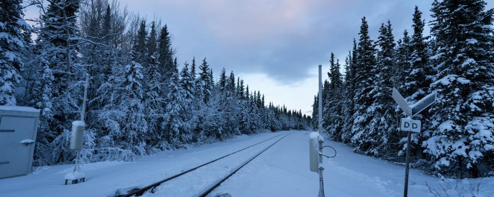 Järnvägsspår i vintermiljö. Foto: dennis zhang/Unsplash