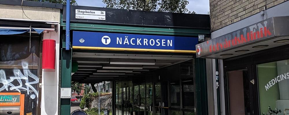 Näckrosens tunnelbana. Foto: AleWi/Wikimedia Commons/https://commons.wikimedia.org/wiki/File:N%C3%A4ckrosen_tunnelbana_20180624_08.jpg