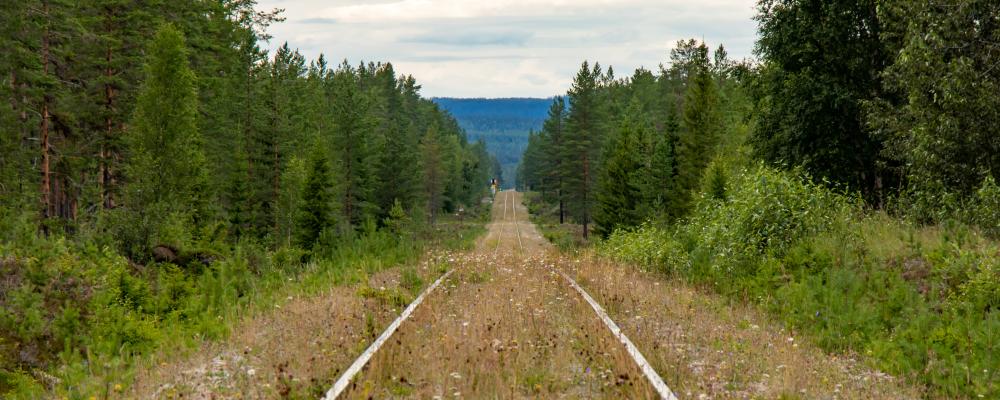 Inlandsnbanan. Foto: lasse nystedt /unsplash