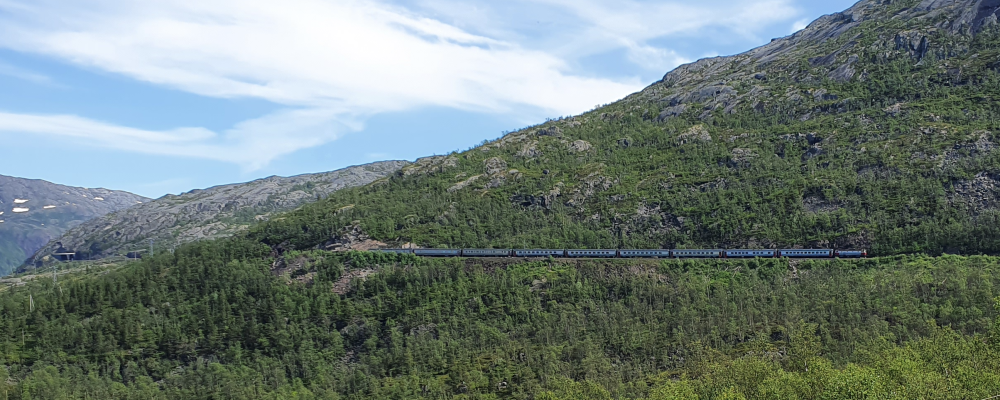 Nattåget Stockholm–Narvik vid Rombak. Foto: Kolbkorr - Own work, CC BY-SA 4.0, https://commons.wikimedia.org/w/index.php?curid=119911642/Wikimedia Commons