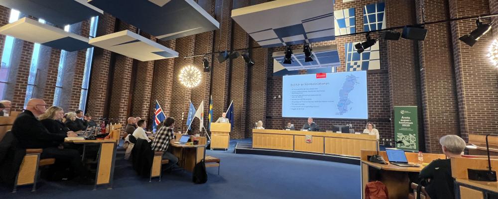 Beslutet om folkomröstningen om Norrbotniabanan fattades 27 oktober. Foto: Piteå kommun