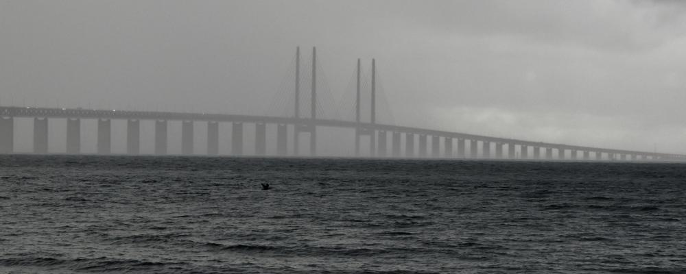Öresundsbron sett från Malmö. Foto: Anastasiya D/Unsplash
