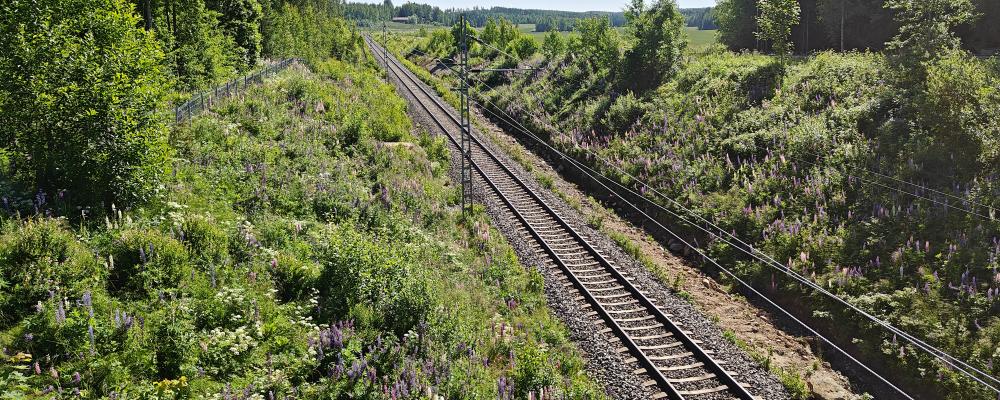 Finskt järnvägsspår. Foto: Väylävirasto