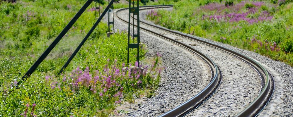Nu tar bolaget ansvar för hela arbetet, från tillstånd och planering till färdig anläggning. Foto: Vinnergi