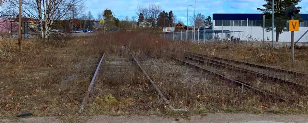 I mitten av oktober började arbetet med vegetationsröjning längs järnvägen mellan Bollnäs och Edsbyn. Nu förlängs arbetet vidare mot Orsa. Foto: Trafikverket