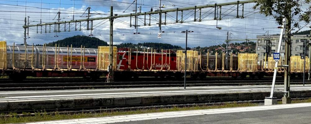 Godståg i Östersund. Foto: Stina wickenberg