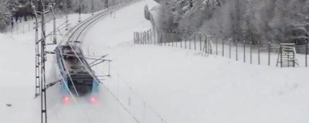 Stängselåtgärden förbättrar förutsättningarna för rennäringen i området samt minskar tågförseningar orsakade av ren- och viltpåkörningar. Foto: Trafikverket