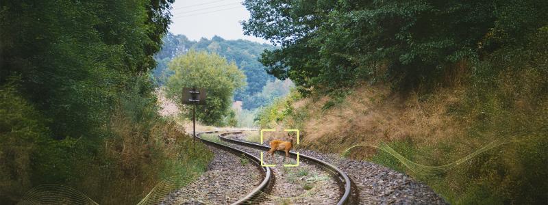 Alstom och Flox Intelligence testar AI-teknik som ska upptäcka och skrämma bort djur från järnvägsspår för att minska viltolyckor. Foto: Alstom