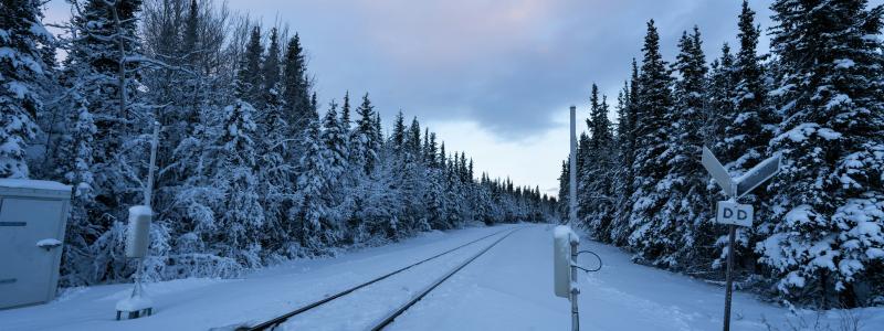 Järnvägsspår i vintermiljö. Foto: dennis zhang/Unsplash