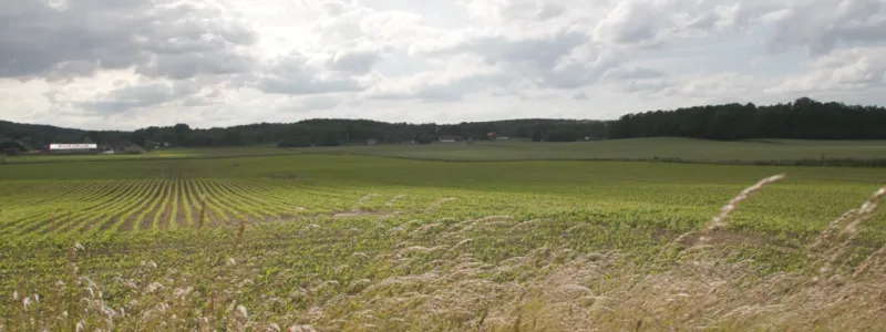 Bild tagen längs nya sträckningen Olofström-Blekinge kustbana. Foto: Jonas Fältman/Trafikverket