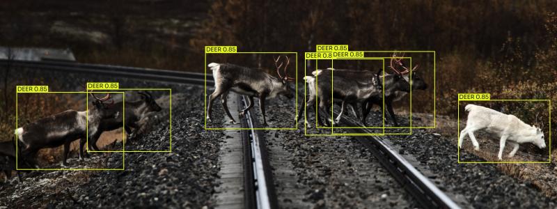AI-systemet ombord på tågen minskar olyckor och skyddar djurlivet genom avskräckande ljudsignaler. Foto: Alstom