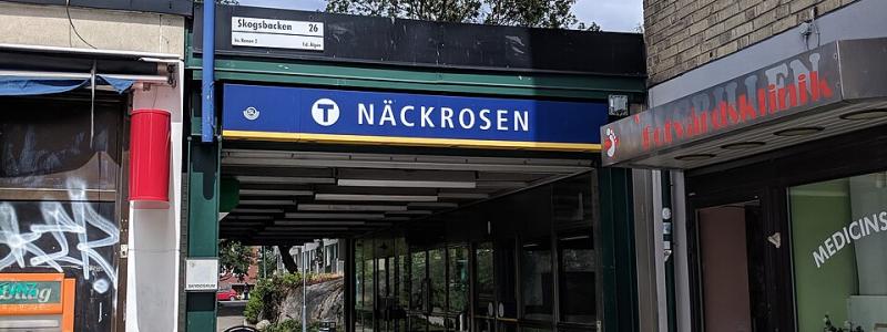 Näckrosens tunnelbana. Foto: AleWi/Wikimedia Commons/https://commons.wikimedia.org/wiki/File:N%C3%A4ckrosen_tunnelbana_20180624_08.jpg