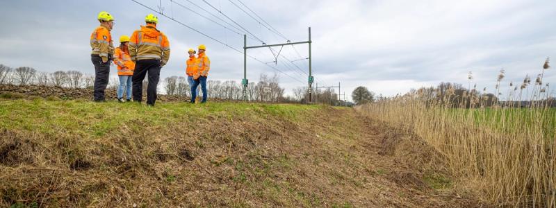 Grävlingstunnlar, till vänster i bilden, under Nederländska stambanan mellan orterna Bosch och Boxtel. Foto: Infrastrukturmyndigheten ProRail