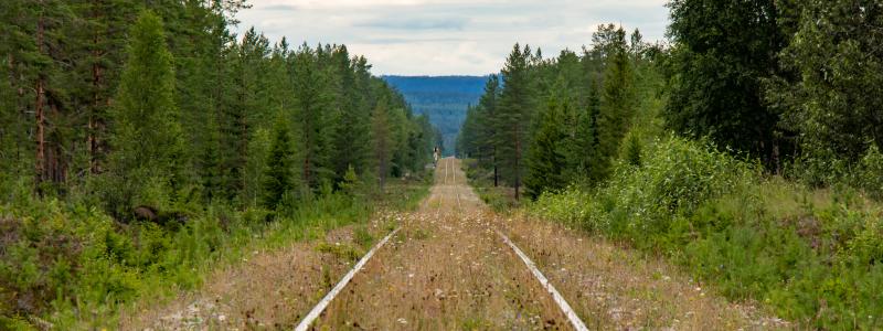 Inlandsbanan. Foto: lasse nystedt/unsplash