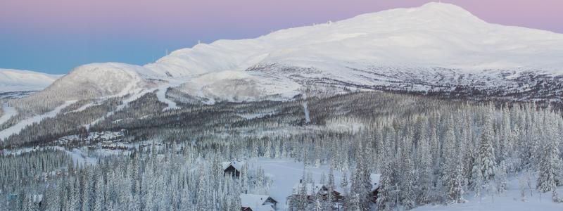 Debatt om Natos planer och Norrlands transportinfrastruktur Foto: dmitriy karfagenskiy/unsplash