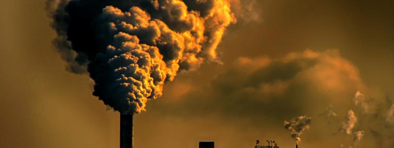 I Sverige är det många som är engagerade i klimatfrågan. Att göra förändringar i vardagen som enskild individ är inte så svårt och det kan bidra en hel del till att ställa om mot en mer hållbar framtid. Även företag i olika storlekar har börjat se över detta med att tillföra en hållbarhet, det i sina leveranskedjor. Det för att kunna minska på miljöavtrycket.