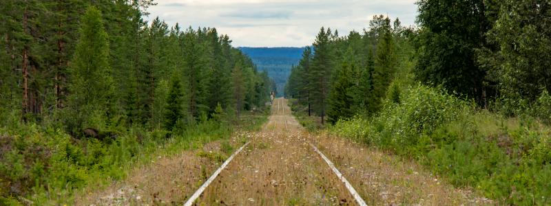 Foto: Lasse Nystedt/Unsplash