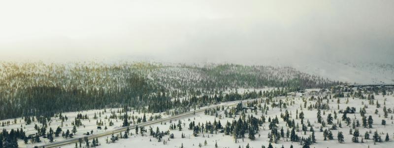 Enligt Erik Nises, kommunstyrelsens ordförande, kan projekt förändra förutsättningarna för att bo och leva i Dalarna. Foto: Michael Odelberth/Unsplash