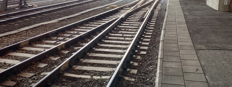 Totalt 33 växlar ska bytas ut fram till sommaren 2024. Foto: Trafikverket