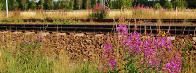 Trafikverket tar nytt steg i processen för att upplåta del av sträckan Jörn-Norlunda. Foto: Trafikverket