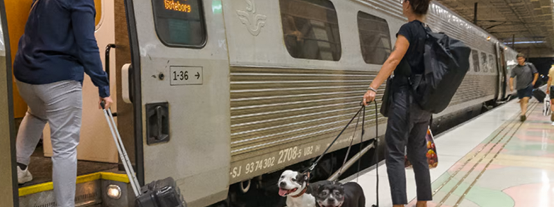 Under 2021 genomfördes 508 miljoner resor med järnväg, spårväg och tunnelbana. Foto: Trafikanalys