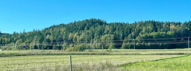 Åtgärderna innebär att vissa plankorsningar avvecklas, att andra förstärks och att ersättningsvägar byggs. Foto: Stina Wickenberg