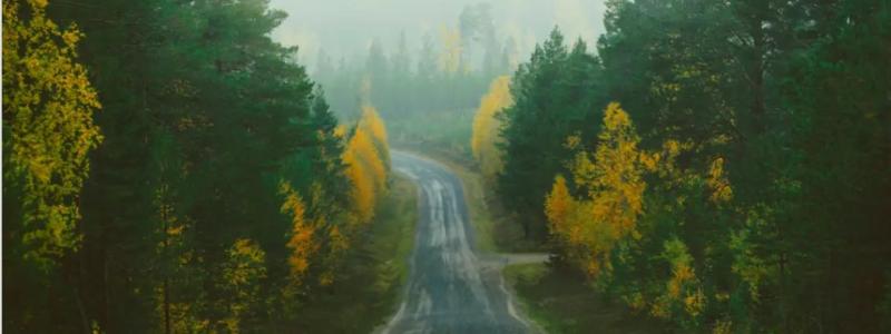 Information om markens egenskaper mellan Tolvforsskogen och Kringlan samlas in. Foto: Trafikverket