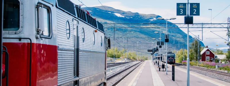 Abisko Foto: peter van de meulen/Unsplash