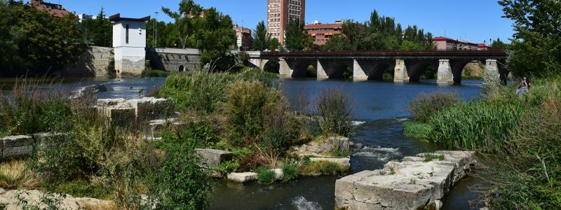 Vy över Valladolid, där planerna för höghastighetsjärnvägen utreds vidare. Foto: David L. Espina Rincon/Unsplash