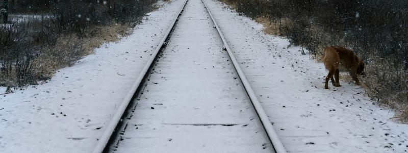 Trafikverkets världsunika testmetod kan komma att användas på fler platser i landet. Foto: olivier amyot/unsplash