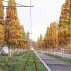 Illustration av framtidens spårväg förbi Dag Hammarskjölds i Uppsala. Visionsbild: Arkivbild/White arkitekter