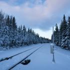 Järnvägsspår i vintermiljö. Foto: dennis zhang/Unsplash