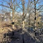 Bygget av den nya gula linjen – tunnelbanan mellan Älvsjö och Fridhemsplan miljöprövas. Foto: Stina Wickenberg