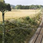 De tre kontrakten gäller underhåll på Ostkustbanan, inklusive spårarbeten, insatser vid Gävle rangerbangård och miljöåtgärder. Foto: Infranord