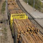 2025 transporterades 3,1 miljoner kubikmeter rundved på järnväg, vilket är den högsta volymen någonsin för företaget. Foto: SCA.