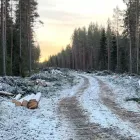 Avverkningsentreprenaden omfattar ungefär 25 procent av den totala avverkningen för Norrbotniabanan mellan Dåva–Skellefteå och har pågått sedan sommaren 2025. Foto: Trafikverket