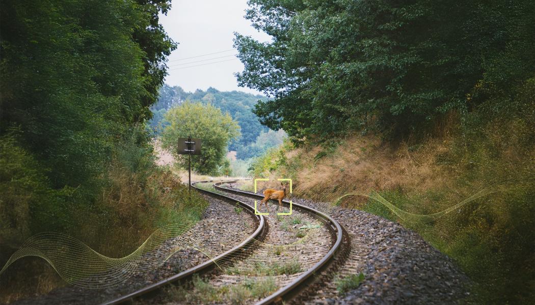 Alstom och Flox Intelligence testar AI-teknik som ska upptäcka och skrämma bort djur från järnvägsspår för att minska viltolyckor. Foto: Alstom