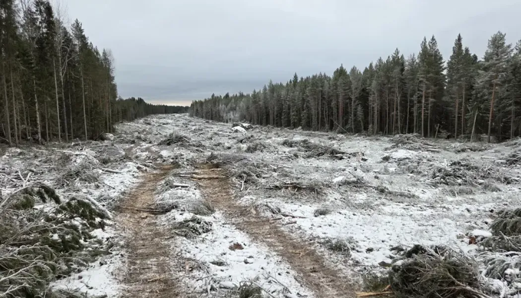 Totalt ska cirka 1 300 hektar skog röjas längs sträckan. Foto: Trafikverket