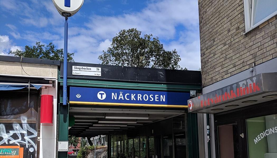 Näckrosens tunnelbana. Foto: AleWi/Wikimedia Commons/https://commons.wikimedia.org/wiki/File:N%C3%A4ckrosen_tunnelbana_20180624_08.jpg