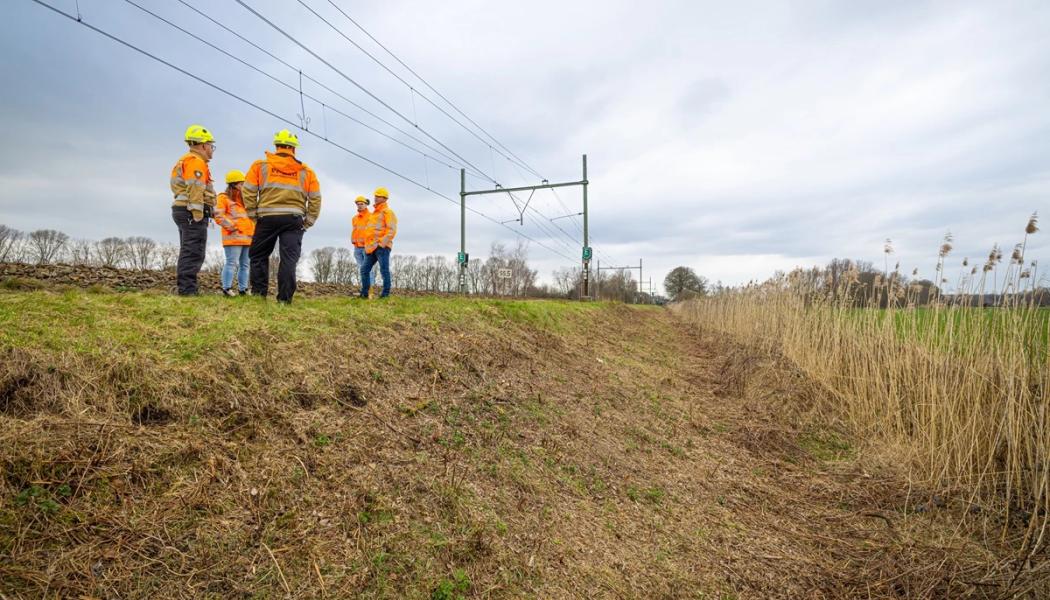 Grävlingstunnlar, till vänster i bilden, under Nederländska stambanan mellan orterna Bosch och Boxtel. Foto: Infrastrukturmyndigheten ProRail