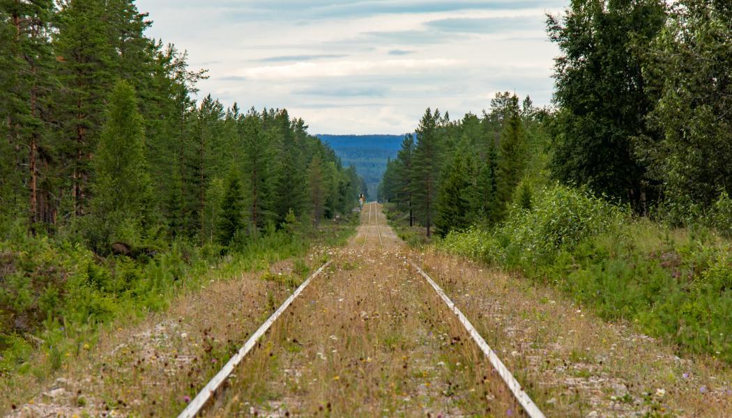 Inlandsbanan. Foto: lasse nystedt/unsplash