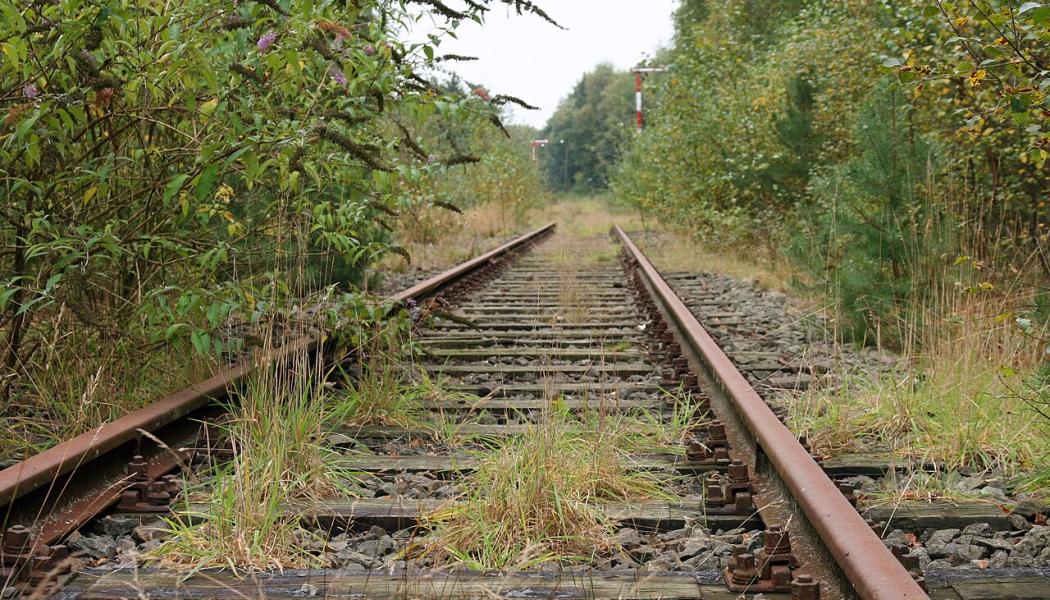 Iron Rhines delsträcka vid nederländska tågstationen Vlodrop. Foto: Wikipedia Common lic. Kredit: Bert K of Flickr. 