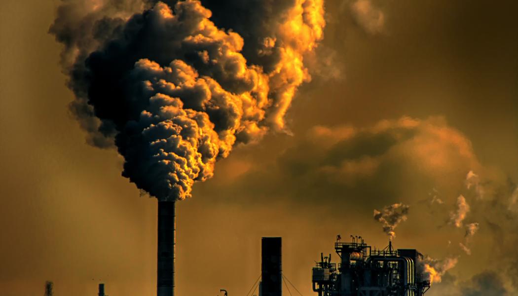 I Sverige är det många som är engagerade i klimatfrågan. Att göra förändringar i vardagen som enskild individ är inte så svårt och det kan bidra en hel del till att ställa om mot en mer hållbar framtid. Även företag i olika storlekar har börjat se över detta med att tillföra en hållbarhet, det i sina leveranskedjor. Det för att kunna minska på miljöavtrycket.