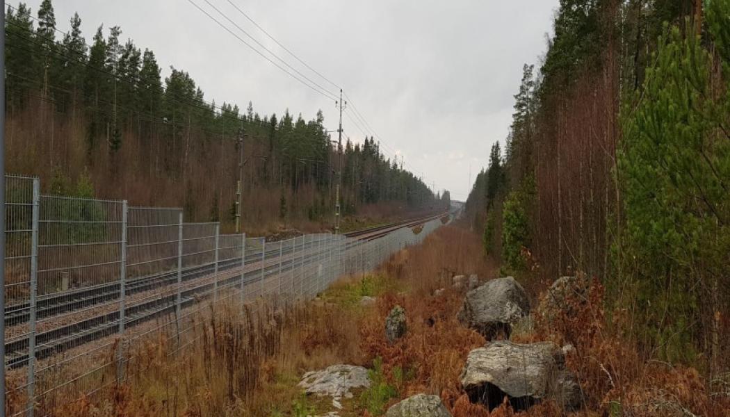 Två förbigångsspår ska byggas vid Katrineholm. Foto: Trafikverket
