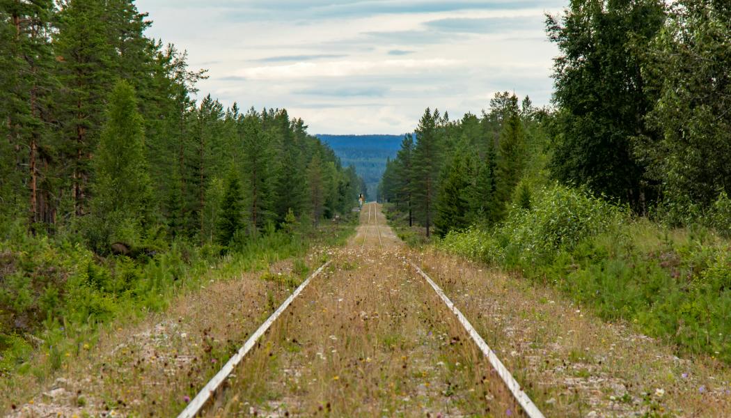 Foto: Lasse Nystedt/Unsplash