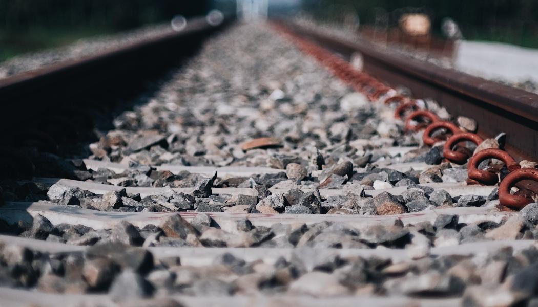 Ostkustbanan är ett viktigt järnvägsstråk. Foto: dodi achmad/unsplash