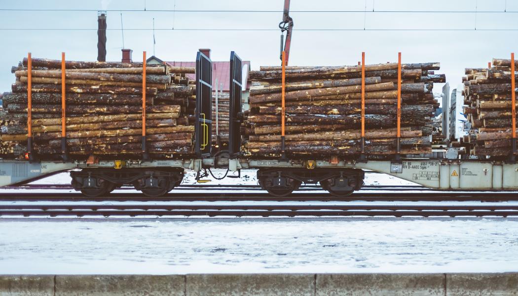 Hector Rail testar RMD:s backkamera Foto: Robert larsson/unsplash