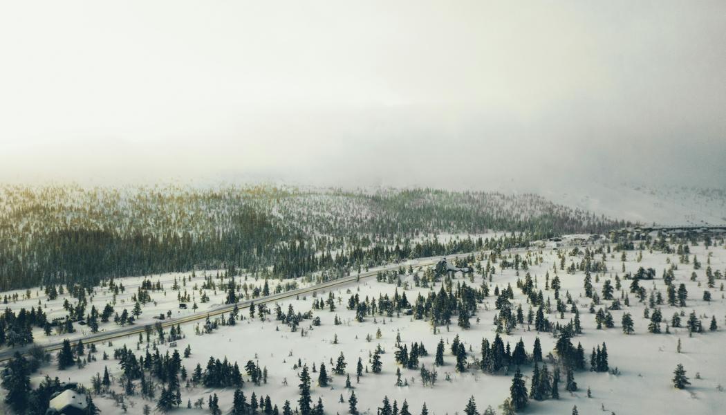 Enligt Erik Nises, kommunstyrelsens ordförande, kan projekt förändra förutsättningarna för att bo och leva i Dalarna. Foto: Michael Odelberth/Unsplash