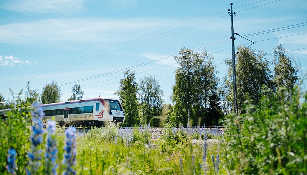 Foto: Tåg i Bergslagen